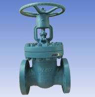 F5/7 Carbon steel and SS gate valves