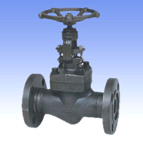 Forged steel and SS gate valves with flanged