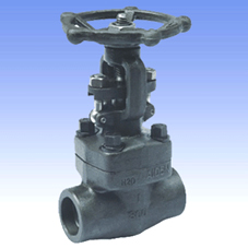 Forged steel and SS globe valves with BW/SW
