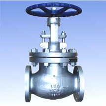 Carbon steel and SS globe valves