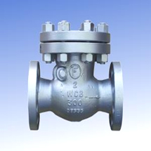 Carbon steel and SS swing check valves