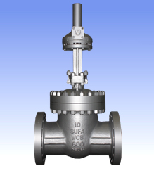Carbon steel and SS gate valves