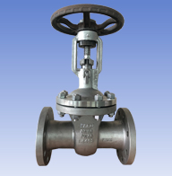 F5/7 Carbon steel and SS gate valves