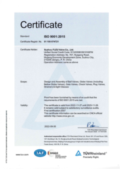 FLEU-DIN EN ISO 9001-2015