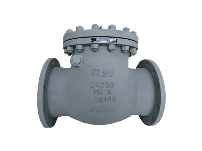 DIN Swing Check Valve Fig.451