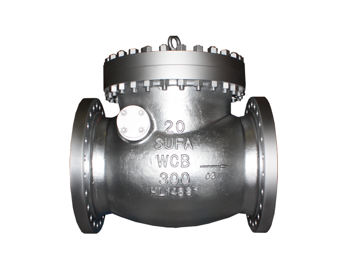 ANSI Swing Check Valve Fig.491-300lbs